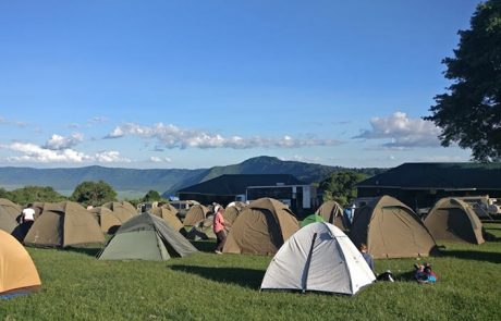 Safari Camp Setup