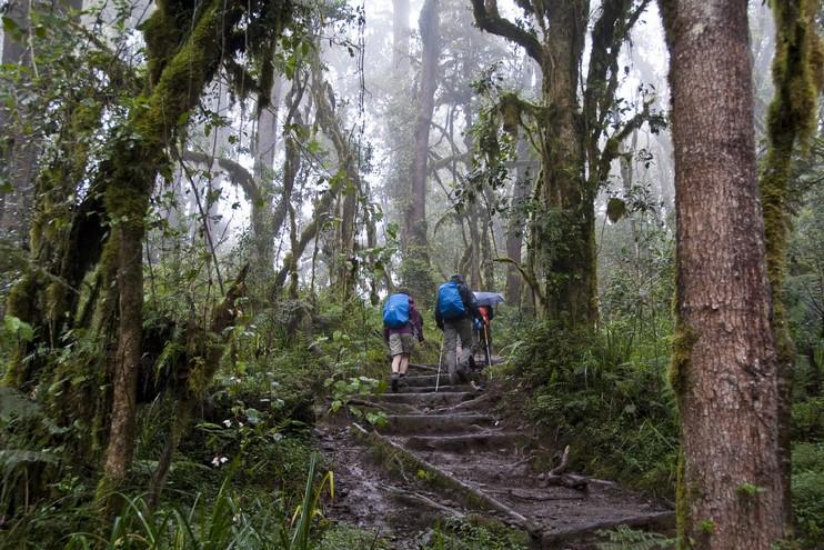 Machame Camp
