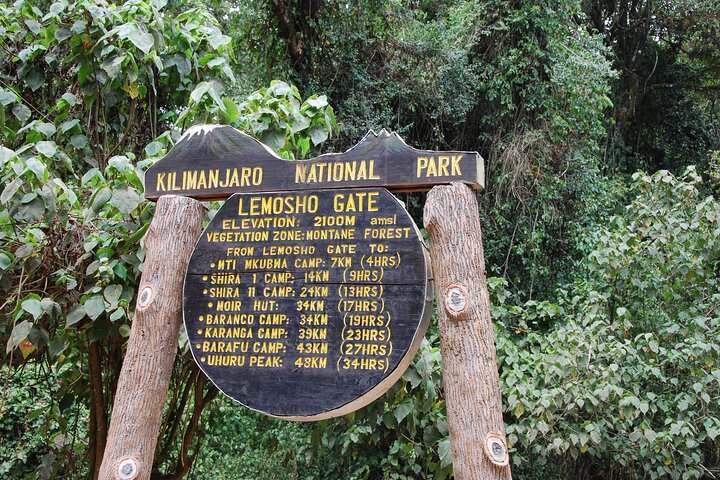 Mti Mkubwa Camp