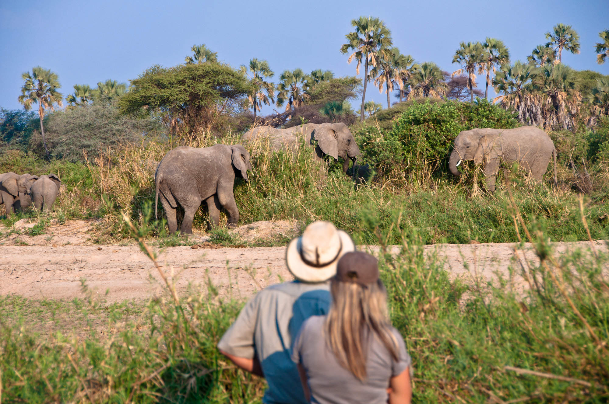 Walking Safari